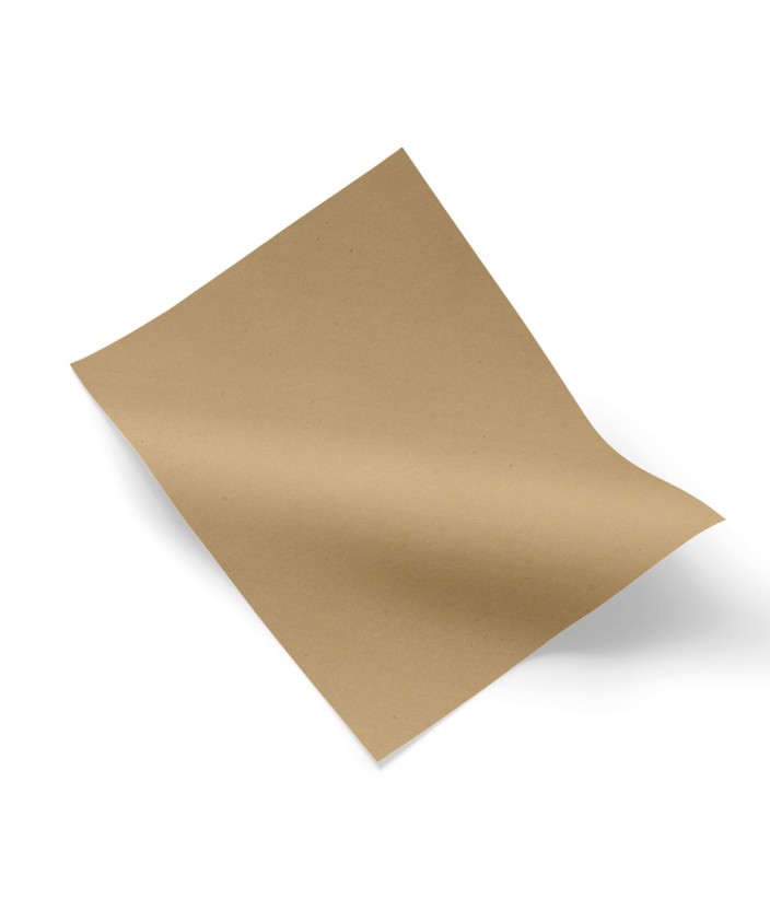 PORON Medical® Carne 2 mm. 680 x 500 mm.