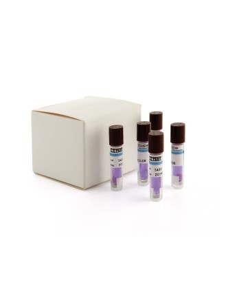KIT de 10 viales de esporas para control biológico